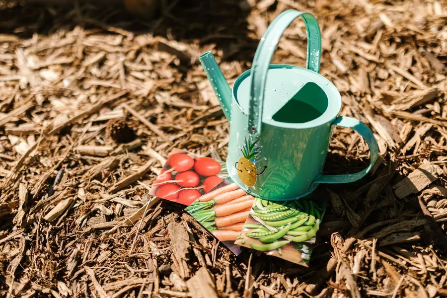 A watering can sitting on three vegetable seed packets — radishes, carrots and peas — in a garden bed
